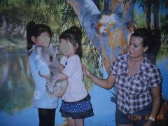 ６才と４才の娘がケアンズの私立小学校と幼稚園に留学④。ナイトズーでコアラ抱っことダンス♪。