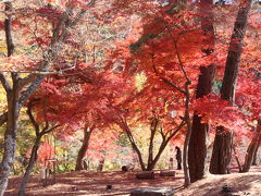 長瀞　月の石もみじ公園の紅葉