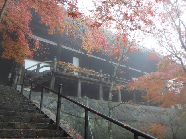 霧の中播州清水寺根本中堂十一面観世音菩薩の秘仏御本尊特別拝観（西国33-25）(1/3)