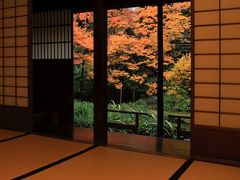 福井・石川　紅葉めぐり～永平寺、養浩館庭園、兼六園、寺島蔵人邸、尾山神社