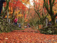 滋賀県の紅葉巡り①散紅葉の赤絨毯・鶏足寺2017年11月