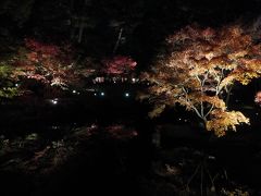 ２０１７年　大田黒公園紅葉ライトアップ