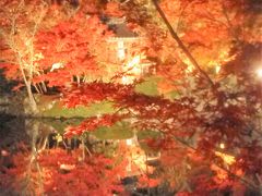 京都の紅葉(my 2017.11)