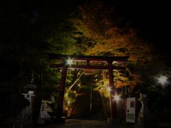 今年も談山神社の紅葉ライトアップへ