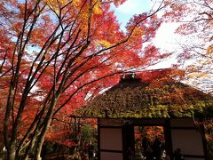京都の紅葉2018 嵐山～高台寺