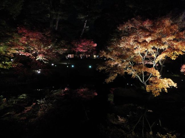 去年（２０１６年）、一昨年（２０１５年）に続いて大田黒公園の紅葉ライトアップに行ってきました。