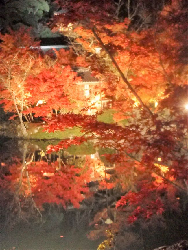 　今年も11月20～23日まで京都の紅葉を見ました。長年行きたかった大原の三千院/モミジの永観堂と南禅寺/JRのライトアップ東寺/宝厳院(天龍寺)//です。<br />　秋晴れに恵まれた日程で良かったです。ライトアップは始めてだったので日中とは違う京都を感じ取りました。また、♪京都、大原・三千院～♪は始めて行ったので、(ふと昔のことを思い出して)参拝しました。