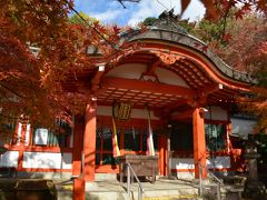 秋の南都で寺社巡りと紅葉狩り（奈良市）