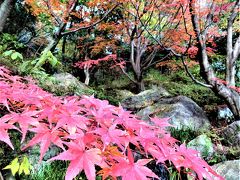 夙川からの小さなバストリップで、紅葉の北山山荘へ