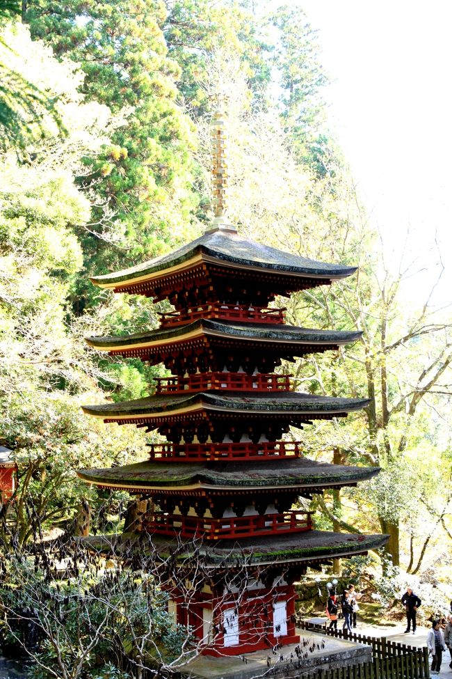 室生寺の紅葉<br /><br />幾度となく訪れている室生寺。<br />五重塔の流麗で可憐な佇まい。何度見ても感動します。<br />はじめての紅葉の時期の訪問。<br />噂にたがわず素晴らしい紅葉でした。<br /><br />