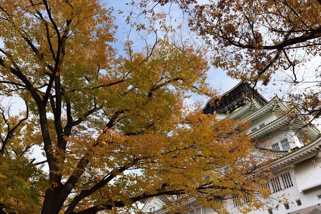 少し寒かったんですが、いいお天気だったので大阪城の紅葉散歩に出かけてきました。<br /><br />この日は、大阪地下鉄谷町線の天満橋駅から、ＪＲ大阪環状線の大阪城公園駅まで、大阪城を横断しました。