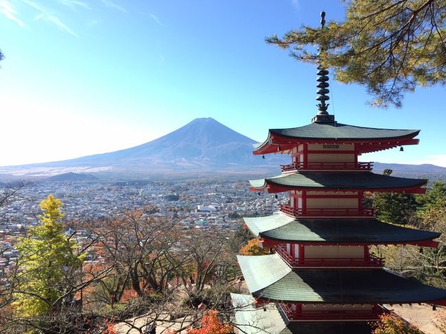 あらくらふじせんげんじんじゃ<br />山梨県富士吉田市新倉３３５３－1<br /><br />2017.11.7　参拝<br /><br />山腹にある五重塔がシンボルですね!　各季節ごとに景色が違うでしょうねえ。<br /><br />今回は　二度目のチャレンジです。<br />どうしても　富士山と五重塔の絶景を見たくて　参りました。<br /><br />一度目は10月に参拝。この時は　残念な事に　富士山には　雲がかかってしまい　<br />その姿さえ　見る事が　できませんでした。<br /><br />まずは　参拝させていただきました。<br /><br /><br />創建は705年<br /><br />甲斐国八代郡荒倉郷の氏神として祀られたのがその始まり。<br /><br />戦国期には武田信虎（武田信玄の父）が領国を接していた北条氏との戦の際、<br /><br />神社の境内地である新倉山に陣取り、<br /><br />この新倉富士浅間神社で必勝祈願、首尾よく戦に勝利したことにより刀を奉納したと伝わっている。 <br /><br /><br /><br />「忠霊塔」も本来は神社本殿からさらに登った場所にある五重塔で　お参りをしてから　この五重塔まで<br />延々と　歩かなくてはなりませんでした。<br /><br />途中　何度も　息を切らし、立ち往生・・・・<br />体力の無さを　感じ幾重にも　折り返す　階段を　はあはあと　登ります。<br /><br />やったっ!　でしたねっ!<br /><br />汗まみれになり、たどり着いて　忠魂塔へお参り。<br /><br />戦没者慰霊の五重塔「忠霊塔」は当地のシンボルです。<br /><br /><br />それにしても　外国の方が　殆どでした。<br />会話も　成り立ちませんが　写真を　撮って差し上げると<br />さんきゅー　と　笑顔に　(#^.^#)<br /><br />それだけ　ここから　眺める富士山は　海外にも　有名なんでしょうねえ<br /><br />富士山全体を　全部　見渡せるのは　やはり　冬ですね。<br /><br />空気が乾いて来た　この時期から　冬場。<br /><br />時間帯も　午前中早くから　が　お薦めです。<br /><br />お昼近くなると　雲が出やすくなり　折角　登ったのに　見られなかったあ～～～～～と<br />言う事になります。<br /><br />春の桜の季節にも　伺ってみたいですね!　写真で拝見しただけですが<br />とても　桜と富士山の　コラボ　この目で見てみたいです。<br /><br /><br />本殿は　ただいま　この夏の台風?で　大木が倒れて　屋根を直撃したそうで、<br />ずっと　工事中でした。<br />11月中には　修復が終わるそうですから　確認される事を　お薦めします。<br /><br />ブルーシートで覆われていますので　写真は　ちょっと残念でした。<br /><br />こちらの　手水舎の　龍!　私は　お気に入りです。　なんだか　逞しい&#9825;<br /><br />紅葉の季節でもあり　あちらこちらが　赤や黄色に染まった光景を　見られますよ。<br /><br />