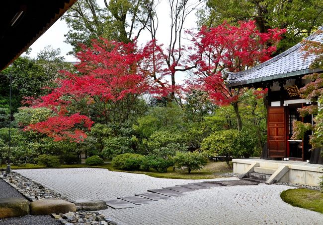 建仁寺は、華やかな祇園にある花見小路の突き当たりにある臨済宗建仁寺派の大本山であり、京都最古の禅寺です。山号を東山（とうざん）と称し、寺名には創建時の年号を宛て、本尊には釈迦如来を祀り、京都五山の序列の第三位の格式を誇り、京童の囃子言葉に「建仁寺の学者面、学問面」と詠われました。因みに日本最古の禅寺は、博多にある聖福寺（１１９５年栄西創建）になります。<br />１２０２（建仁２）年に鎌倉幕府２代将軍 源頼家が寺域を寄進し、伽藍は栄西により宋の「百丈山」を模して開山されました。創建時は、真言宗と天台宗、そして禅宗の３宗派が置かれました。これは、往時絶大な力を誇っていた真言・天台宗との衝突を回避するための妥協策でした。<br />本格的な禅寺になったのは、１２５９（正元元）年に宋の禅僧で建長寺を開山した蘭渓道隆（らんけいどうりゅう）が入寺してからです｡やがて室町幕府により中国の制度に倣った京都五山が制定され、その第三位として厚い庇護を受け大いに栄えますが、応仁の乱やその後の戦乱で伽藍が焼失し荒廃しました｡<br />その後、天正年間（１５７３～９２年）に安国寺恵瓊（あんこくじえけい）が方丈や仏殿を移築するなど復興が始まり、徳川幕府の庇護の下に京都五山第三位に任ぜられて大いに栄えました。明治時代には政府の宗教政策等により臨済宗建仁寺派として分派独立し、その大本山となりました。また、廃仏毀釈、神仏分離により塔頭の統廃合が断行され、やむなく土地を政府に上納したことから、境内の面積は半分程に縮小され現在に至ります。<br />一方、日本仏教美術に多大な影響を与えた寺院としても知られ、建物と庭園、日本美術をまとめて観賞でき、しかも大らかな空気で参拝者を余白の美に誘ってくれるお寺です。また、通常のお寺は建物の内部や美術品の写真撮影はＮＧですが、ここはフリーです。京都の中心街 四条河原町からも徒歩圏内ですので、是非旅程に加えていただきたい禅刹です。<br />建仁寺のＨＰです。<br />http://www.kenninji.jp/