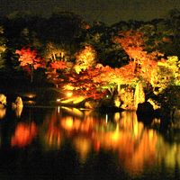 滋賀県の紅葉巡り②彦根城・玄宮園ライトアップ2017年11月