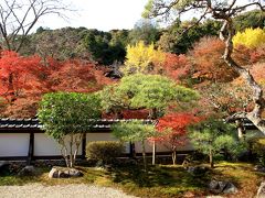 正暦寺の紅葉