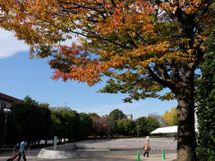 東京国立博物館　庭園　紅葉散策