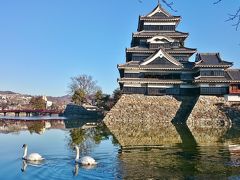 1泊2日 長野県 粉雪の舞う白骨温泉、ついでにVR (前編) 朝の松本城