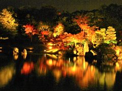 滋賀県の紅葉巡り②彦根城・玄宮園ライトアップ2017年11月