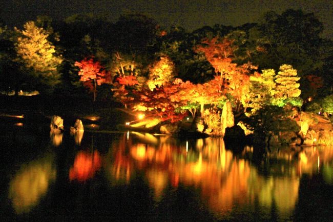 滋賀県内の紅葉の名所である鶏足寺と湖東三山（西明寺、金剛輪寺、百済寺）を巡り、彦根城と玄宮園のライトアップを見学するツアーに参加しました。<br />初日は雨でしたが、２日目は晴れて紅葉を満喫することが出来ました。<br />①鶏足寺<br />②彦根城・玄宮園・・・本編<br />表紙は玄宮園のライトアップ