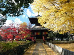 足利市　紅葉の　ばん阿寺と足利学校