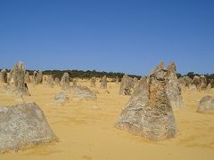 観光ツアー参加（昼のピナクルズと、大砂丘を駆け巡る）