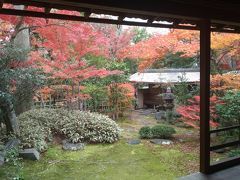 京都西山三山と妙心寺で紅葉をめでる