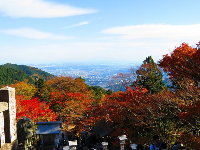 紅葉のシーズンも間もなく終了…<br />今年はまだ見に行ってなかったので1泊程度で行ける紅葉スポットが無いか探していたところ、神奈川県伊勢原市の大山阿夫利下社（おおやまあふりじんじゃ）を発見！<br /><br />大山阿夫利神社は、丹沢の大山にある関東総鎮護の神社で、大山の中腹に下社、二重社、山頂に本社、前社、奥社が鎮座しており、雨が多いので雨降山（阿夫利山）とも言われた昔からの雨乞い霊山。<br />江戸時代には、伊勢神宮参拝のように江戸から出掛ける大山参詣が人々の楽しみとして行われたそうです。<br /><br />そして、もう1つの魅力は今旬のパワースポットで大地のエネルギーがみなぎる場所として絶大な大地の浄化パワー、仕事運をもたらす場所でもあるとのことで行くことにしました。<br /><br />■日程コース<br />①昼の紅葉<br />伊勢原駅（バス）⇒大山観光案内所（徒歩）⇒大山ケーブル駅（ケーブルカー）⇒阿夫利神社駅（徒歩）⇒大山阿夫利神社下社（徒歩）⇒男坂（徒歩）⇒大山ケーブルカー駅⇒東學坊<br /><br />②夜のライトアップ<br />東學坊（徒歩）⇒大山ケーブル駅（ケーブルカー）⇒阿夫利神社駅（徒歩）⇒大山阿夫利神社下社（徒歩）⇒女坂（徒歩）⇒大山寺（ケーブルカー）⇒大山ケーブルカー駅（徒歩）⇒東學坊（泊）<br /><br />■大山阿夫利神社<br />http://www.afuri.or.jp<br /><br />■旅行記：今年初の紅葉とライトアップを見に行く <br />②大山寺・大山阿夫利神社下社の紅葉ライトアップ<br />https://4travel.jp/travelogue/11306841<br />③【宿泊レポ☆51】 神奈川県　写経や瞑想部屋もある老舗豆腐料理旅館の東學坊<br />https://4travel.jp/travelogue/11307412<br /><br />