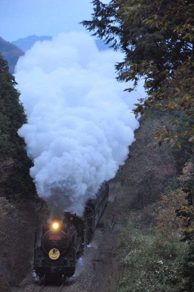 鉄道ファン、その中でも、特に蒸気機関車好きの方が、<br />待ちに待った、この日が、ついに来ました。<br /><br />ＪＲ西日本が、進めていた「デゴイチ」の復活計画。<br /><br />１１月２５日、そのＤ５１ ２００が<br />山口線でデビューしました。<br /><br />これまた、ＪＲ西日本が、新しく作ったレトロ風の<br />客車を従えてです。(先にデビュー済み)<br /><br />この日に合わせて８月には、新山口のホテルを<br />予約していましたが、いろいろと用事が出来て、<br />この日は、断念。<br /><br />翌、１１月２６日は、Ｃ５７とＤ５１の重連運転です。<br />週間予報で、雨はなさそうと判断し、<br />ＪＲ西日本の「おとなび」で、新大阪６時０３分発の<br />ひかり４４１号の指定席券をリミットの１週間前にゲット。<br />「おとなび」3割引きです。(笑)<br /><br />新山口に到着後、山口線の列車に乗り換え、<br />長門峡駅へ。駅からすぐのポイントでスタンバイ。<br />津和野行きは、Ｃ５７が先頭で、Ｄ５１が次位でした。<br /><br />巡回のＪ●西本の方が２人来ました。<br />会話を聞いていると、「今日は６００人ぐらいか」。<br />長門峡のポイントに、６００人ぐらいのカメラマンが<br />スタンバイ。えらい騒ぎで、国道9号線も大渋滞。<br /><br />新山口行きは、篠目～仁保の最深部の<br />通称「篠直」でスタンバイ。<br />ここでは３時間以上待ちました。<br />列車通過が１６時４０分を回り、<br />この日は曇りで、光線はなく、写真的には<br />大変、厳しい条件。<br /><br />ここにも、Ｊ●西日本の方が巡回に来ました。<br />少し、お話をさせて頂きました。<br /><br />それによると、山口線でのＣ５６の運転は、<br />この正月で終わり。<br />正月の新山口のホテル、予約しました。(笑)<br />さらに、正式には決まっていないが、来年の３月頃、<br />Ｃ５６の「さよなら運転」の話があるとか。。。<br />また、来年以降の「ＳＬやまぐち号」のメインは、<br />従来通りＣ５７がけん引とのこと。<br /><br />一日の撮影が終わり、新山口発１８時５７分発の<br />のぞみ１８８号で帰りました。<br />車内では、一人宴会で、ほろ酔い気分。(笑)<br /><br />楽しい一日でした。<br />