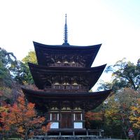 滋賀県の紅葉巡り③湖東三山（西明寺・金剛輪寺・百済寺）2017年11月