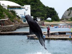 ２２．お盆休みの紀伊半島７泊　くじらの博物館その２　３頭のクジラショーその２