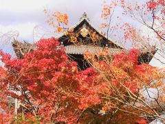 2017年11月２４日　京都紅葉だより　東山から銀閣寺周辺の見所報告②南禅寺・禅林寺編