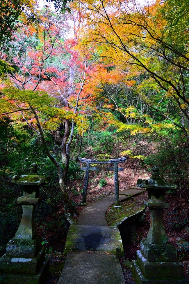 白馬渓（はくばけい）は臼杵川の支流にある渓谷で、モミジ、マツ、スギの間を水しぶきが岩に砕けて落ちる様子が、白馬の走る姿に似ていることから白馬渓と呼ばれています。