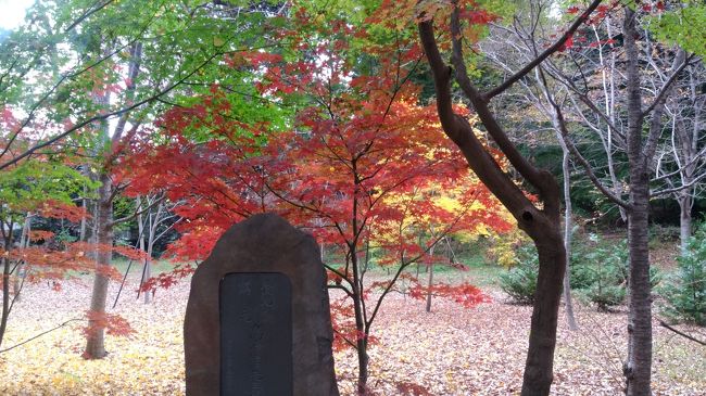 東京にも紅葉の季節が巡ってきました。一昨日の日曜日に九品仏（世田谷）境内に紅葉を観に行ってきました。毎年訪れているところですが、実は都内から気軽に行けて、色鮮やかな紅葉シーンがコンパクトな敷地の中にみっしりと息づいているという、ある意味非常に“日本的な”観光地になるのではないかと思います。紅葉のピークは今週末くらいかと思いますので、東京に住んでいらっしゃる方は訪れてもよいのではないでしょうか。