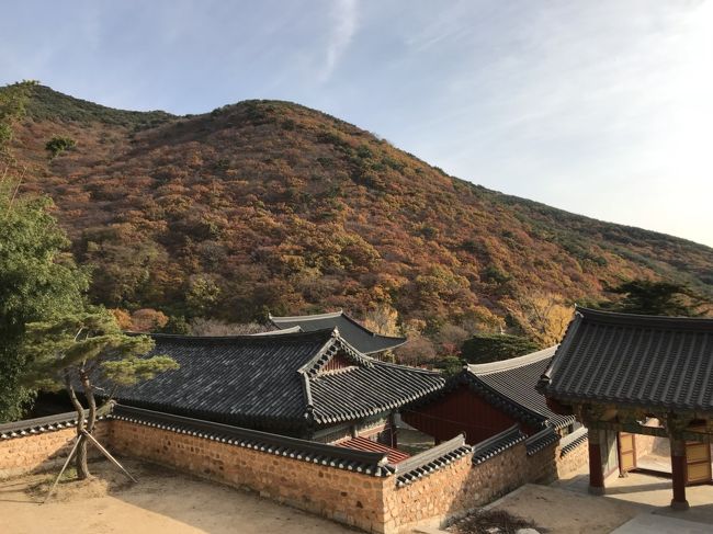 先月の釜山花火大会に続き、またまた釜山旅！！<br />今回の旅は、機張市場に行ったり、梵魚寺に紅葉を見に行ったり…国際市場周辺をぶらぶらしてみたり、時間を持て余して、温泉に行ったり。<br /><br />2日間ですが、今回も満喫してきました！！