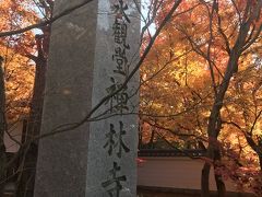 紅葉も終わりに、天気最高の日