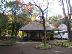 世田谷散歩記(蘆花恒春園ほか) 2017/11/20-11/29