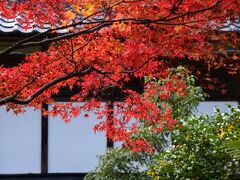 2017　京の紅葉散歩　吟松寺