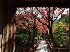 2017　京の紅葉散歩　光悦寺