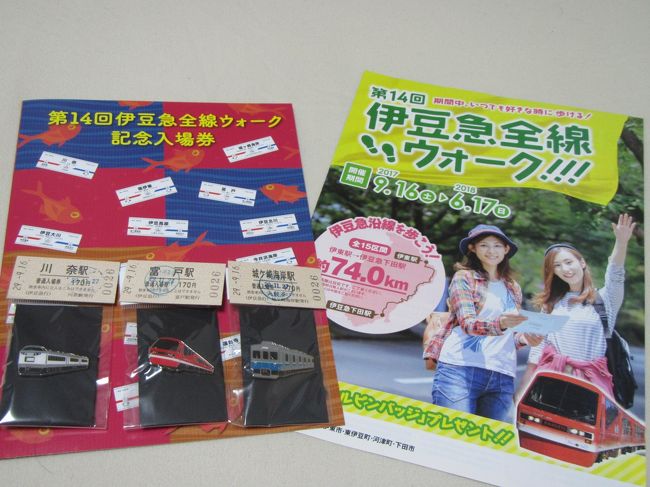 現在参戦中の伊豆急全線ウォークの第2弾です。<br />今回は晩秋の川奈から伊豆高原までの約12㎞を歩きました。