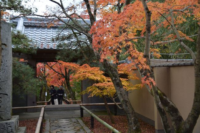 １１月２０日　吟松寺から光悦寺、2011年秋の「そうだ、京都に行こう」キャンペーンの源光庵を訪れました。<br />https://youtu.be/QBhzHc2DpCs<br />