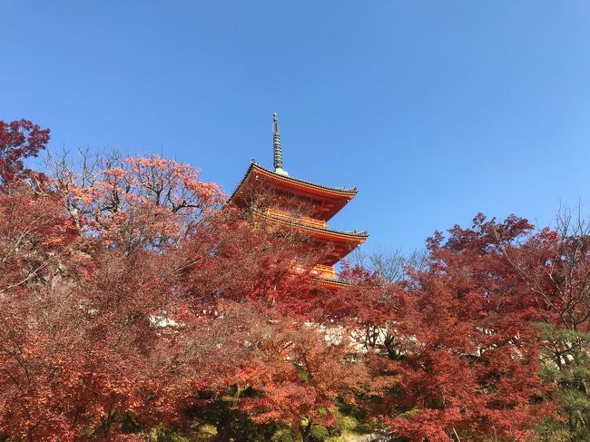 今日は仕事仲間たち13人と京都東山界隈のハイキングです。<br />コースは、平安神宮、知恩院、円山公園、清水寺を巡る7kmです。<br />天候に恵まれた最高の１日でした。