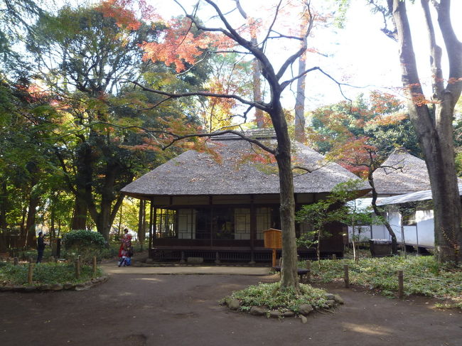 世田谷散歩記(蘆花恒春園ほか) 2017/11/20-11/29<br /><br />・スシロー烏山店 2017/11/20<br />・勝国寺 2017/11/20<br />・紅葉の芦花公園を散策 2017/11/29<br />・藍屋 世田谷八幡山店 2017/11/29