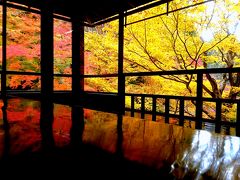 紅葉狩りをしに京都に日帰り旅しました。