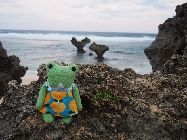 今年最後の沖縄旅行。<br /><br />精神的に気持ちが落ち込んでいて体調も思わしくありませんでしたが、沖縄には不思議な癒しの力があります。<br />何もしなくたって沖縄のティーダと空気がきっと「命ぐすい」になってくれると信じて初めての沖縄北部やんばるの旅を計画しました。<br />飛び石連休と言う事もあり、当初考えていたホテルはお値段もお高くなっていたのでここは全くゼロから組み立てようと色々計画を練り直しました。<br />取りあえず沖縄本島で行ったことない所を中心に古宇利島、北部方面で。<br />絶対に行きたかったのは大宜味村喜如嘉の芭蕉布会館です。<br />そして、最終日には南部のひめゆりの塔と平和祈念資料館は絶対に入れることに。<br />のんびり過ごせて楽しい癒しの時間を過ごすことが出来ました。<br /><br />★ANAじゃらんパック利用(9/11予約)<br />航空券+宿泊2泊+レンタカー<br />◎カヌチャベイホテル&ヴィラズ(24日25日宿泊)<br />スタンダードツインで予約<br />やんばるの贅を尽くしたディナーを堪能<br />4つの会場より選べる夕食付(朝食も)プラン<br />24日はバイキング25日はステーキを予約しました。<br />¥88,700×2人 ¥177,400<br />じゃらんクーポン利用-¥6,000<br />2人分合計¥171,400<br /><br />★楽天トラベル(9/11予約)<br />◎hotel cava<br />1泊2食付き(あぐー豚お茶しゃぶ)<br />2人分合計¥35,600<br /><br />★やんばる自然塾(カヌー)じゃらん利用(9/25予約)<br />慶佐次川マングローブ3時間<br />¥6,000×2人 ¥12,000<br />じゃらんクーポン利用-¥1,000<br />¥11,000(現地現金決済)<br />
