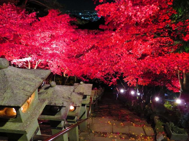 2017 今年初の紅葉とライトアップを見に行く ～②大山寺・大山阿夫利神社下社の紅葉ライトアップ～