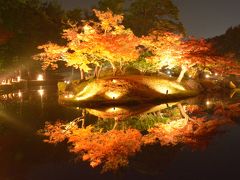湖東二山と夜間特別公開　玄宮園で紅葉を楽しむ