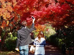 修善寺・虹の里　紅葉真っ盛り