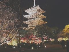 東寺の紅葉・ライトアップ