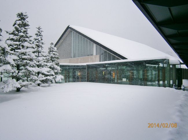 2014年2月8日。この日は記録的な大雪に見舞われ、関東では45年ぶりに25センチを超える積雪のため全ての交通機関がマヒし大混乱に。<br /><br />なんと、その日に箱根旅行を敢行した、勇気あるというかアホというか、無謀な家族旅行の短編記録です。