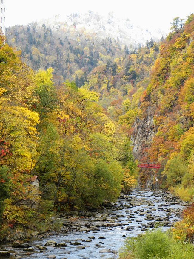 １０月１７日（火）から１８日（水）、冬を迎える前の札幌方面を訪れます。<br /><br />１日目ニセコを出発、早朝の中山峠の道路凍結の恐れあったため、小樽へ出て札樽自動車道で札幌に向かいます。<br />北海道大学のイチョウ並木、ポプラ並木、総合博物館、クラーク館など散策、続いて北海道庁旧本庁舎、ＪＲタワーそして定山渓のホテルへ。<br /><br />２日目定山渓の朝の紅葉をめでてから豊平峡、そして札幌へ戻り、前日の高速を使ってニセコへ帰ります。<br /><br />　今回、北海道大学のイチョウ並木の黄葉、そして定山渓の紅葉が素晴らしい！